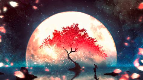 Anime, Night, Scenery, Moon, Cherry Blossom 4k, HD Wallpaper | Rare Gallery