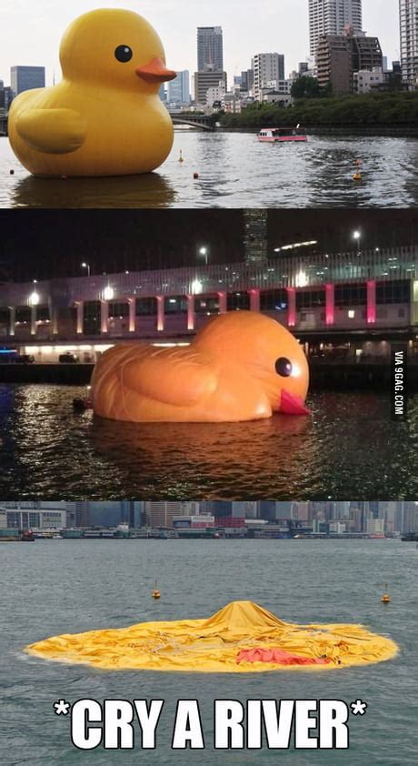 Giant Rubber Duck Meme