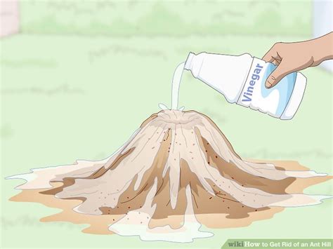 4 Easy Ways to Get Rid of an Ant Hill - wikiHow