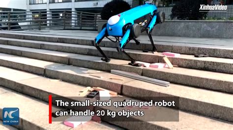 China Unveils Robot Dog that Looks Very Similar to a Boston Dynamics' Design