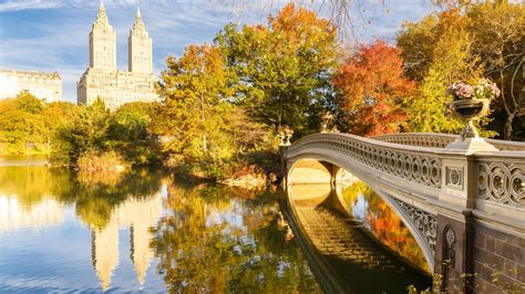 Bow Bridge Central Park - backiee