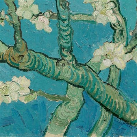 Almond Blossom Tree Van Gogh