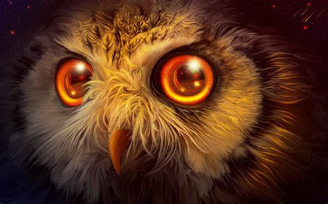 HD wallpaper: Mystic Owl 4K | Wallpaper Flare