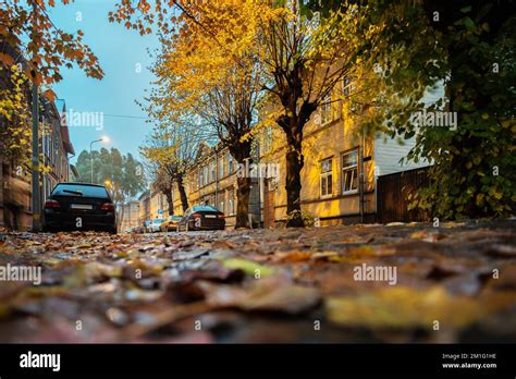 Night view of a street in a small town Stock Photo - Alamy