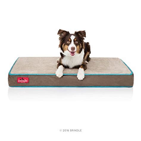 The 5 Best Waterproof Dog Beds | Durability Matters