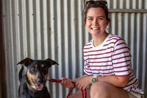 With dog ticks, prevention is cheaper than cure | Canberra CityNews