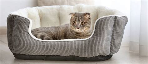 Best Heated Cat Beds - Cat Cave Co