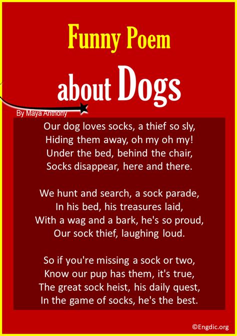 10 Best Funny Poems about Dogs - EngDic