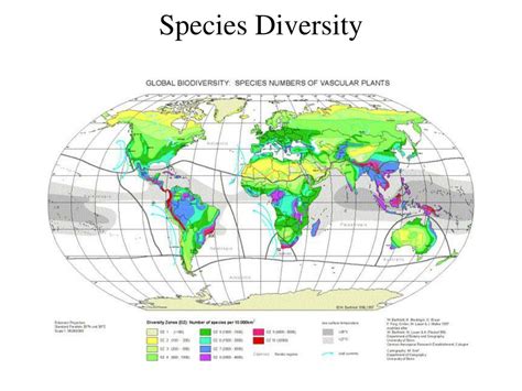 PPT - Species Diversity PowerPoint Presentation, free download - ID:3147186