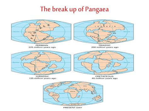 PPT - PLATE TECTONICS PowerPoint Presentation, free download - ID:7096412