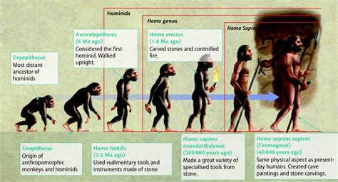 The exciting tale of Sapiens - Manjunath Shivanagi - Medium