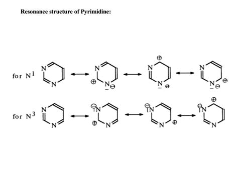 Pyrimidine