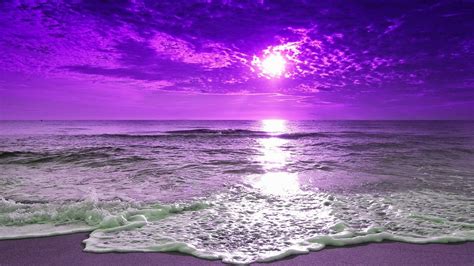 Purple Horizon: Sunset Beach HD Wallpaper