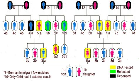 autosomal dna - How to narrow down the best DNA donors in a large family? - Genealogy & Family ...