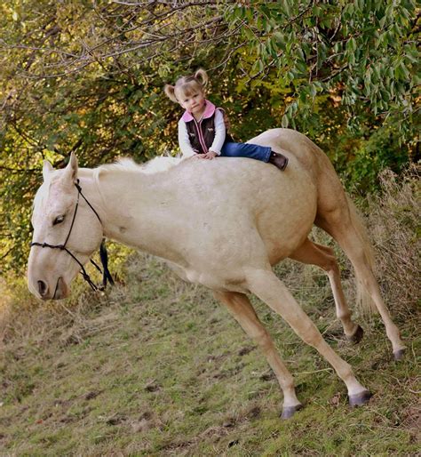 Hooves and Paws Rescue of the Heartland, Inc. "A Place to Heal." A ...