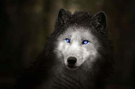 White Wolf With Blue Eyes HD Wallpapers - Wolf-Wallpapers.pro