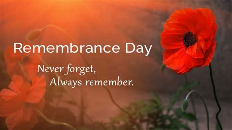 Remembering the Sacrifice: Remembrance Day Quotes to Honor Our Heroes