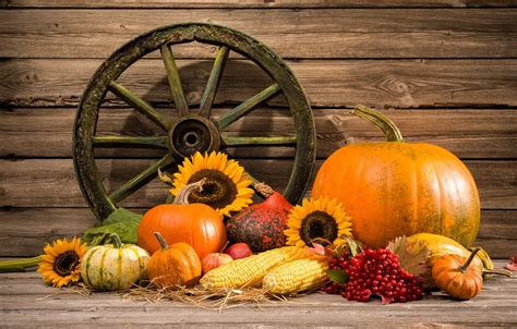 Wallpaper autumn, harvest, pumpkin, still life, vegetables, autumn, still life, pumpkin ...