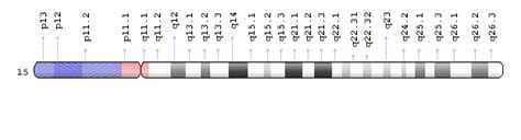 Chromosome 15q14 deletions and loss of the MEIS2 gene