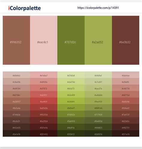 2 Latest Color Schemes with Leather And Olive Green Color tone combinations | 2024 | iColorpalette