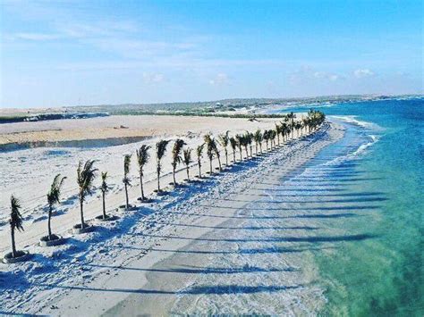 Jazeera beach (Mogadishu) | Beaches in the world, Most beautiful beaches, Beautiful beaches