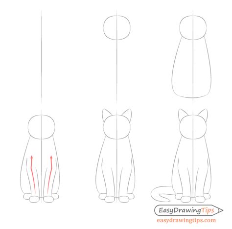 How to Draw a Cat Step by Step - EasyDrawingTips