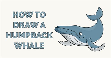 How to Draw a Humpback Whale - Really Easy Drawing Tutorial