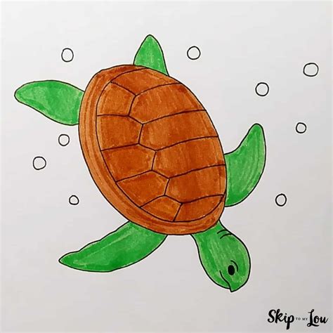 Sea Turtle Drawing | Skip To My Lou