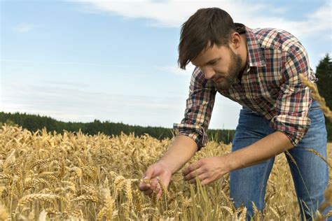 Irish agriculture 'faces a difficult future' unless more young people ...