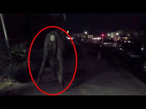 5 Terrifying Rake Sightings Caught On Camera