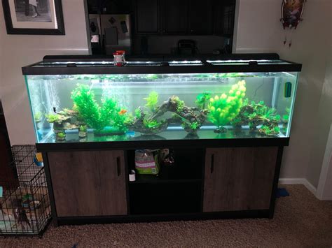 125 gallon fish tank setup with accessories and fish for Sale in Beulaville, NC - OfferUp