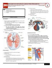 2~6 - Mesodermal Derivatives Hypomer 2.pdf - Mesodermal Derivatives ...