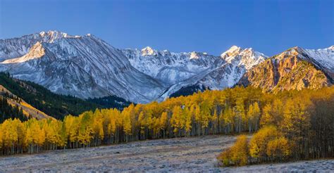 10 Beautiful Photos of Aspen Fall Colors from the 2016 Aspen Photo Challenge | Aspen CO Chamber