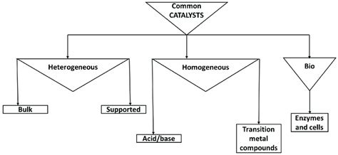 Common catalyst types with emphasis on heterogeneous and homogeneous... | Download Scientific ...