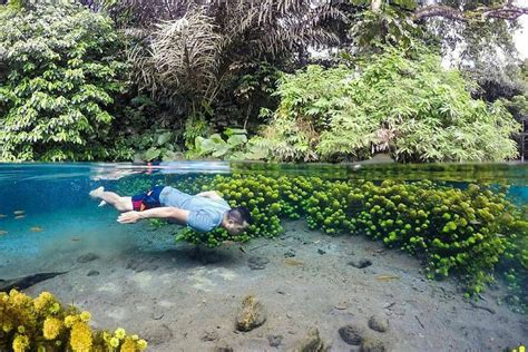 10 wisata alam di malang, dari air terjun, bukit hingga pantai - WisataHits