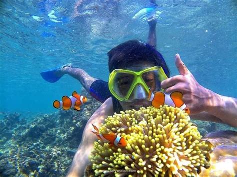 Blue Lagoon Snorkeling Adventure