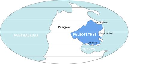 Paleo-Tethys Ocean | Wiki | Everipedia