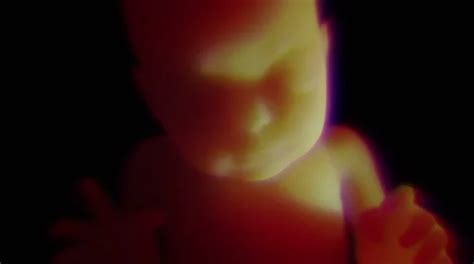 Baby In Womb Animation Stock Footage ~ Royalty Free Stock Videos | Pond5