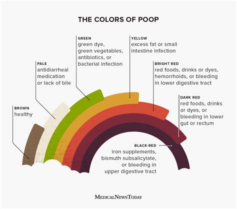 adult human poop chart stool color - poop stool color changes color ...