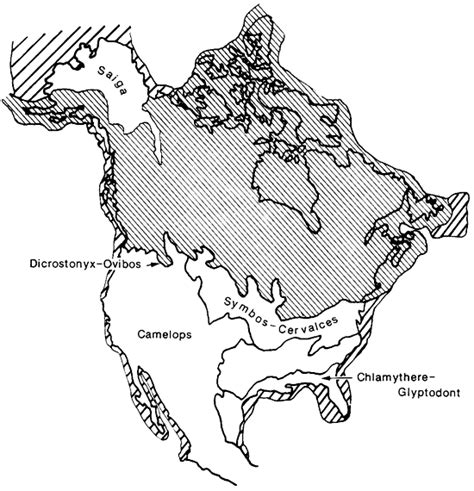 Biomes Of North America Worksheet Key indugiova