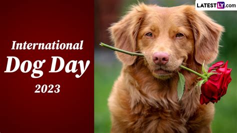 Festivals & Events News | When Is International Dog Day 2023? Know History and Significance of ...