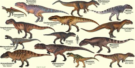 Carnivorous Dinosaurs