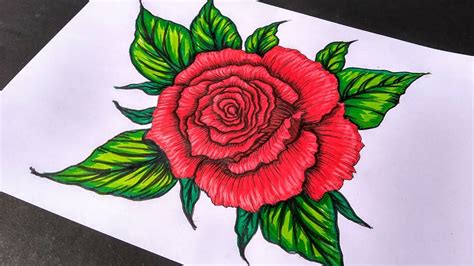 Simple Rose Color Pencil Drawing ~ Drawing