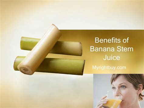 PPT - Benefits of Banana Stem Juice PowerPoint Presentation, free download - ID:7499054