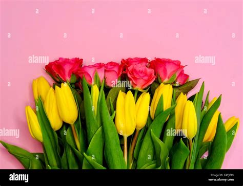 Roses and tulips Stock Photo - Alamy