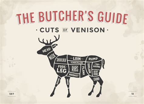 Deer Cuts Diagram