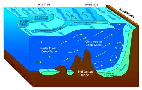 Antarctic 'living sensors' indicate global warming affecting ocean circulation