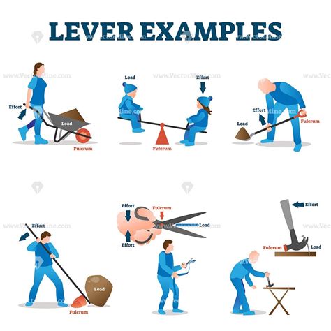 Real Life Examples Of Lever