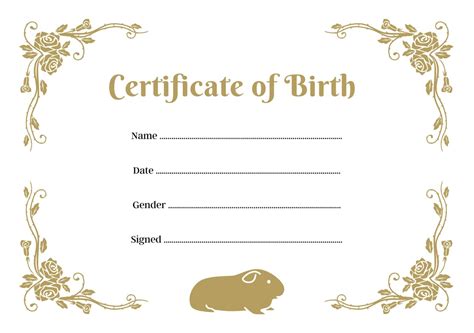 Guinea Pig Birth Certificate Printable PDF A4 Download Instant Print at Home Template Gold - Etsy