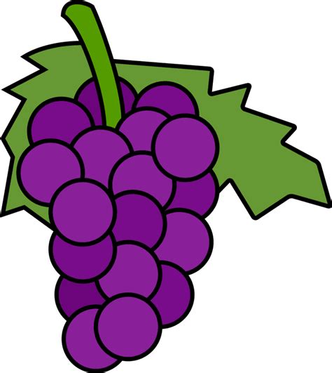 Grapes clipart 3 – Clipartix